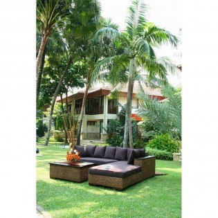 Garden set in natural fiber with wood top and armrest