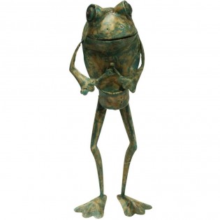 Statue de grenouille indienne en fer