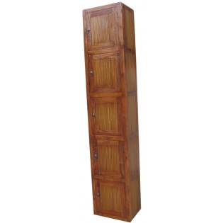 Modulo 5 en caoba y bambu claro con puerta